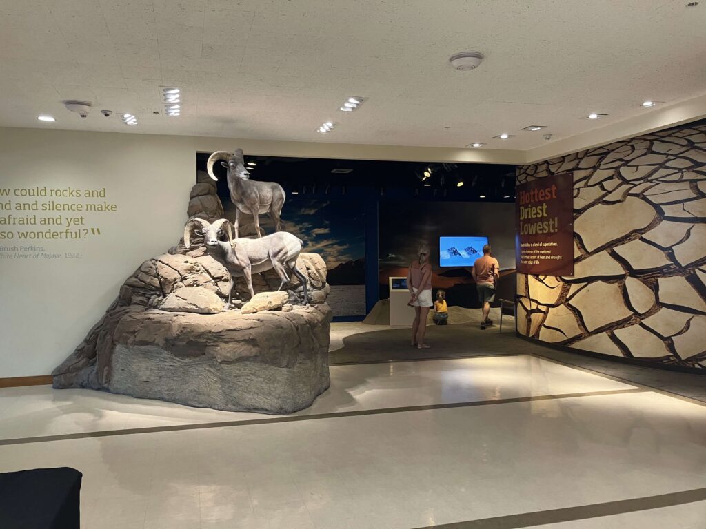 施設内のお勉強エリア