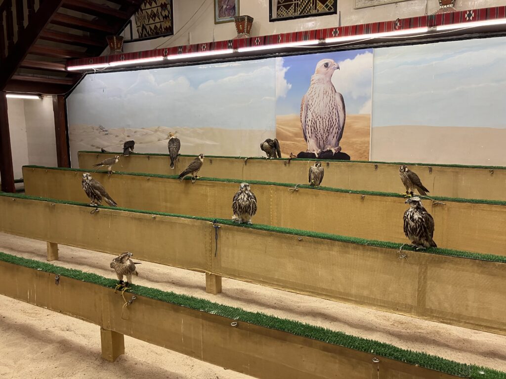 ファルコン市場