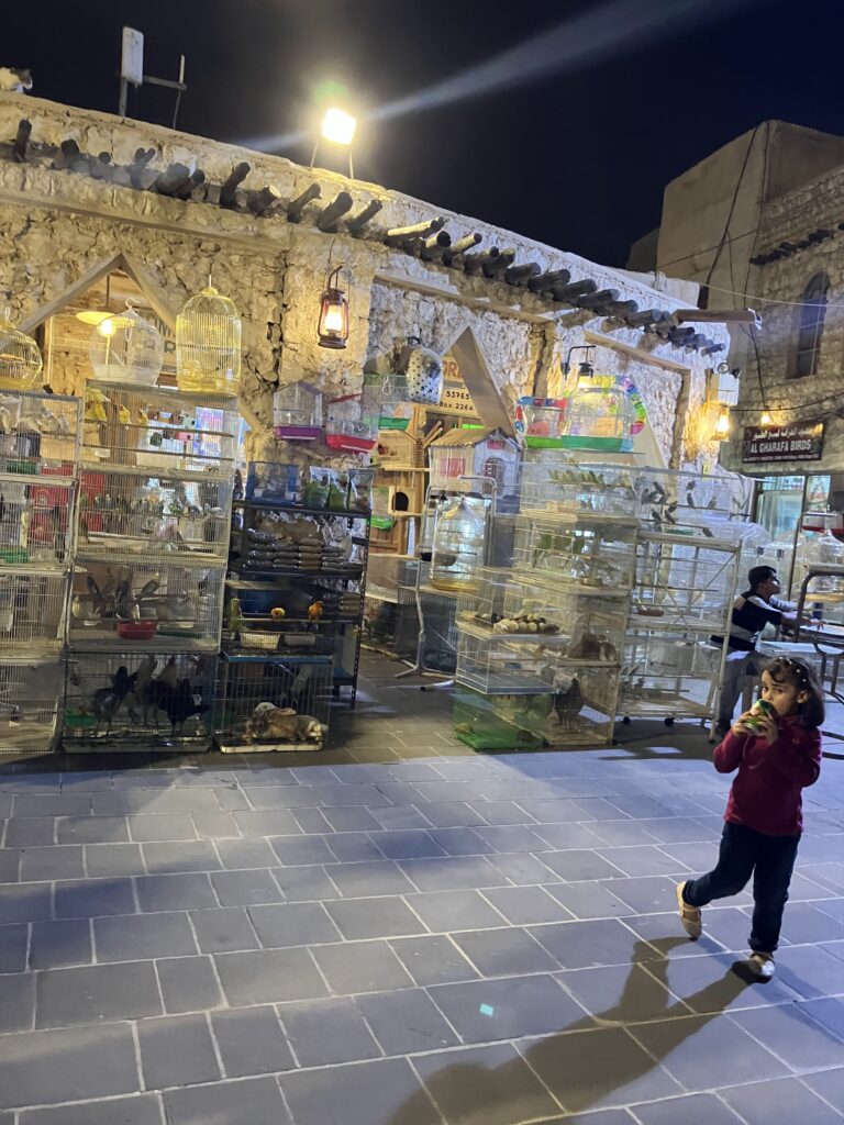 すごい鳥かごの量！