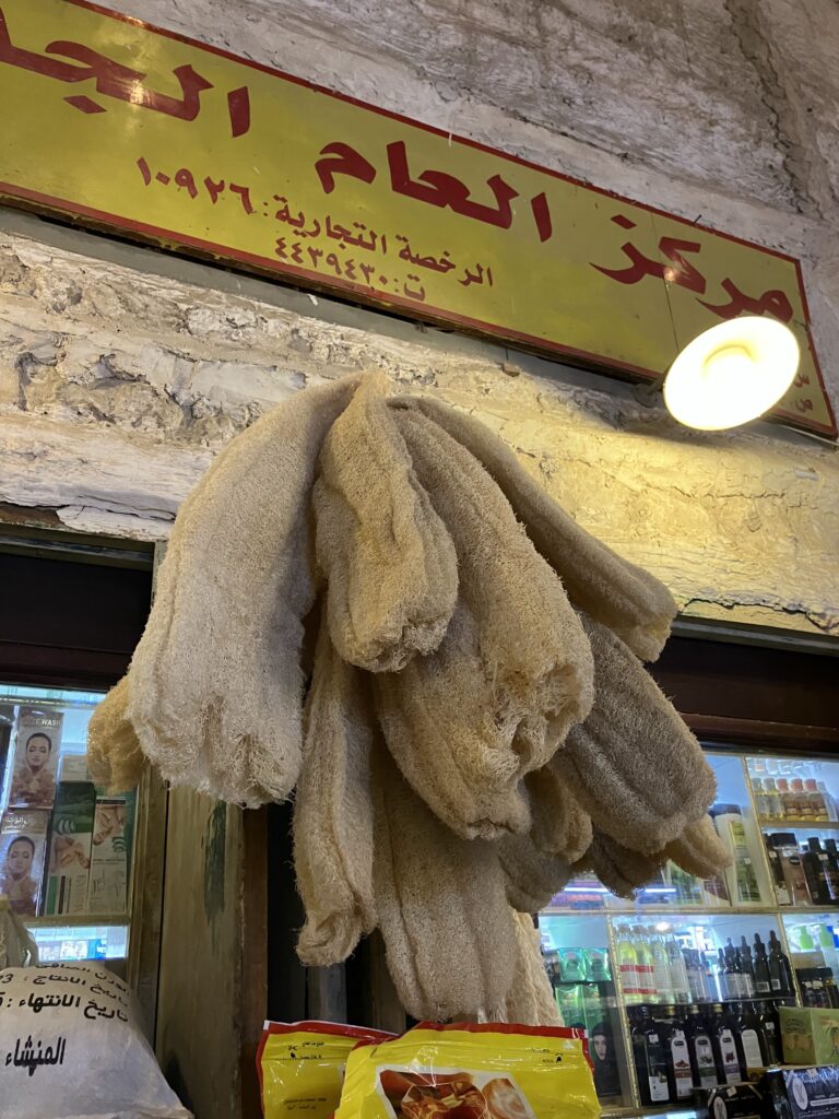 へちまもおおきい！