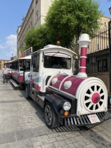 ソコトレイン　トレド