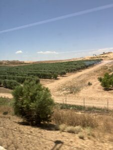 バロセロナからマドリード　電車移動