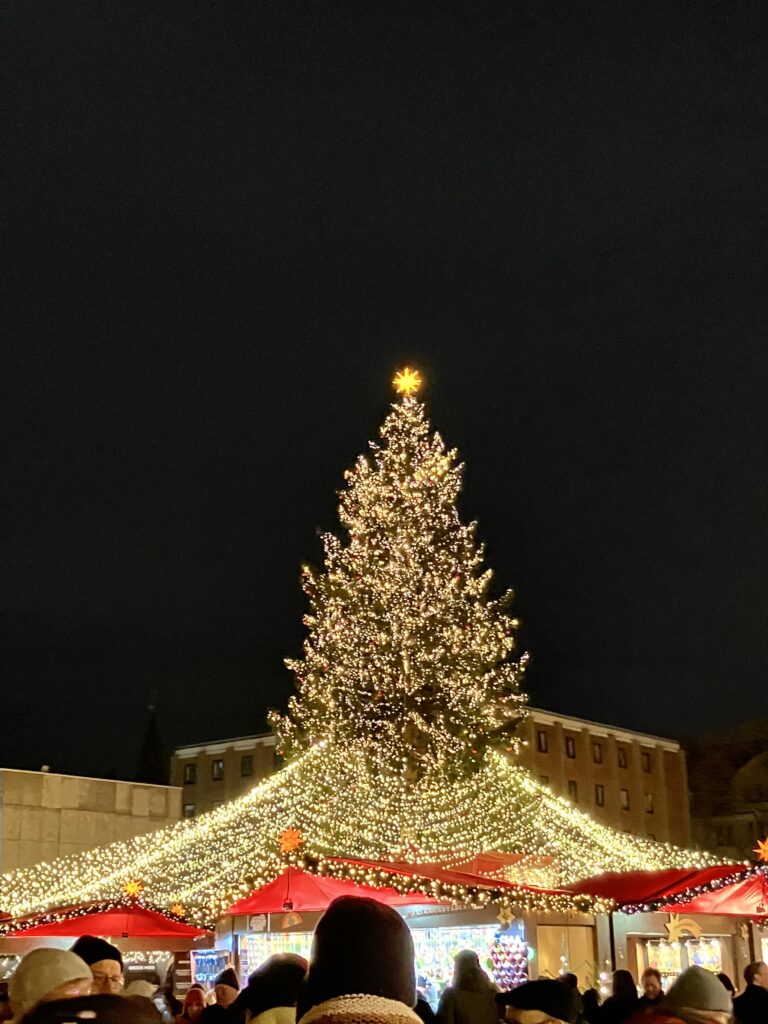 ケルン大聖堂前に設置された巨大なクリスマスツリーとクリスマスマーケット