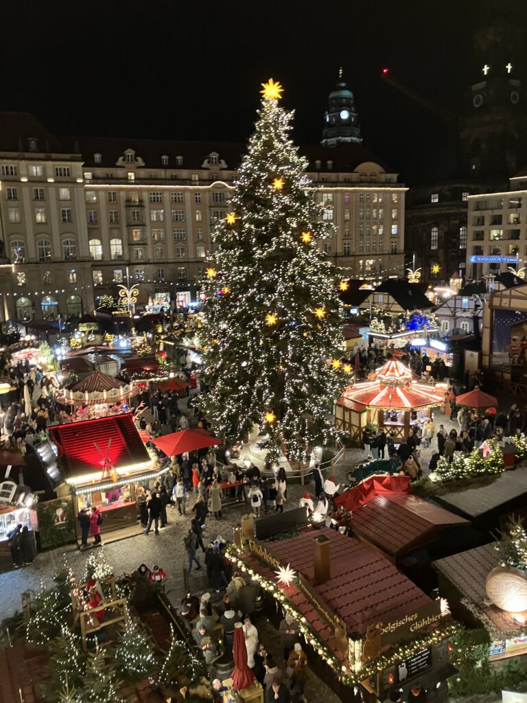 観覧車の上から見たドレスデンのクリスマスマーケット全景と巨大ツリー