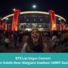 An excited fan laughing outside Allegiant Stadium at night, with crowds gathering before a concert in Las Vegas