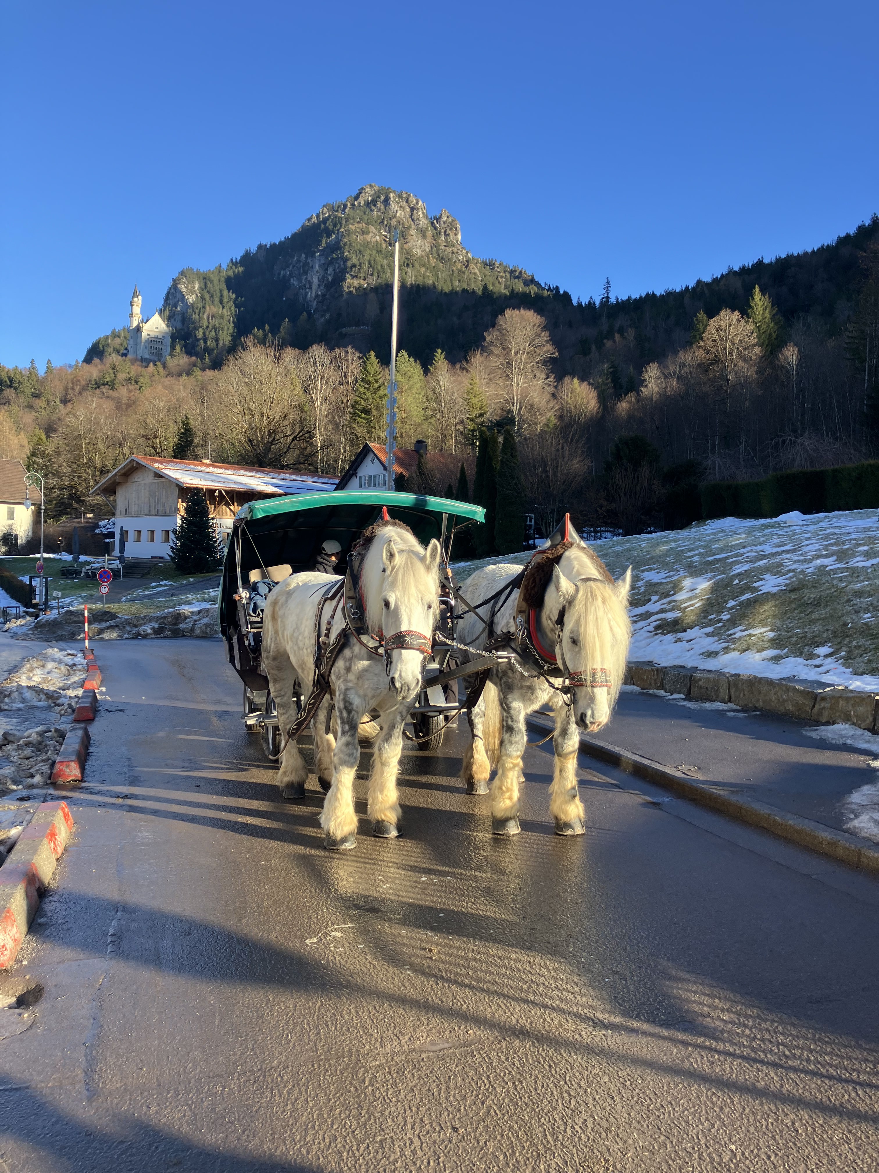 ノイシュバンシュタイン城を背景にした馬車と山の風景。冬の晴れた日の景色
